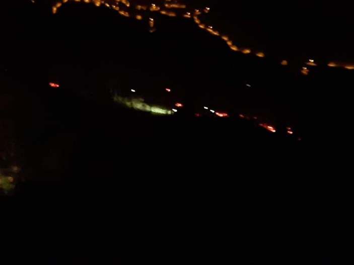 İzmir’de orman yangını: 500 kestane ve meşe ağacı yandı -1