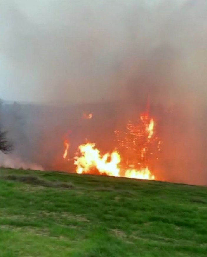 Muğla'daki orman yangınlarında 'sabotaj' şüphesi -5