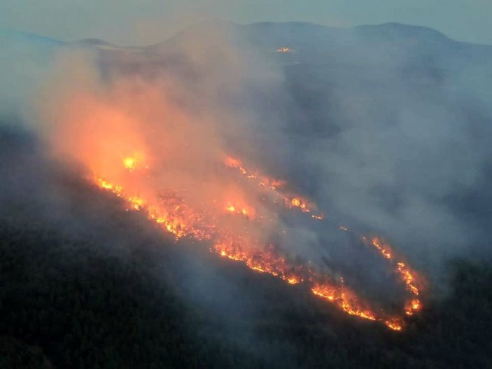Muğla'daki orman yangınlarında 'sabotaj' şüphesi -4