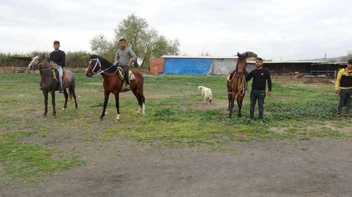 Kocagür köylülerinin geçim kaynağı rahvan atlar -9