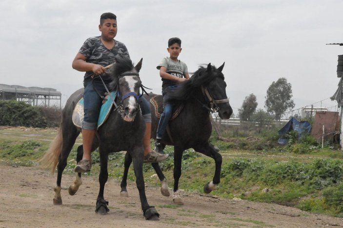 Kocagür köylülerinin geçim kaynağı rahvan atlar -2
