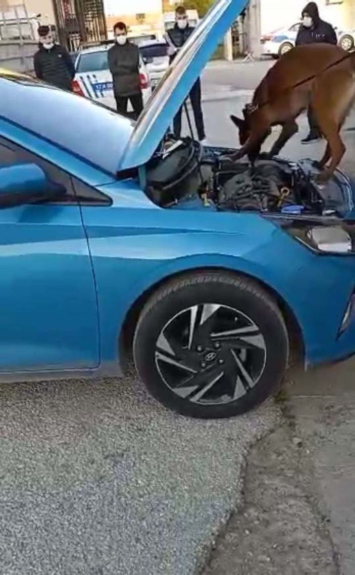 Otomobildeki 100 gram kokaini 'Lina' buldu -2