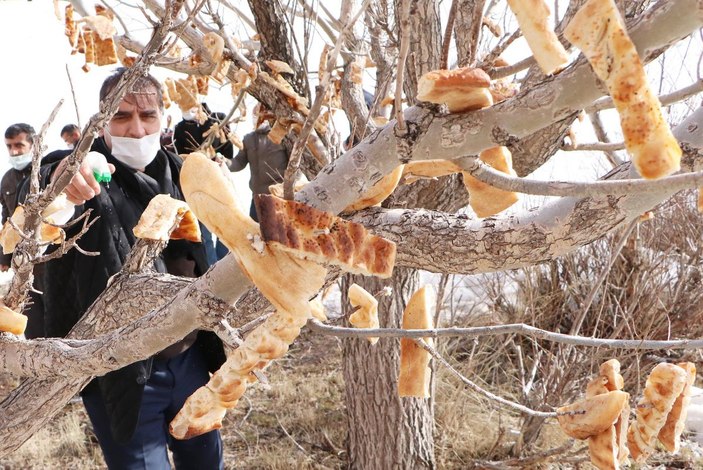 Engelliler, kuşlar için 'rızık ağacı'na ekmek astı -7