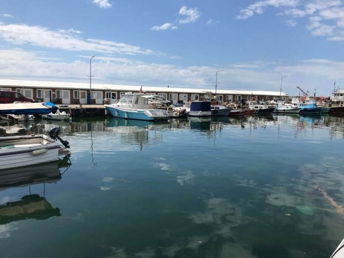 Marmara'daki müsilaj balıkçıları erken paydos ettirdi; Beş aydır evlerine ekmek götüremiyorlar  -6