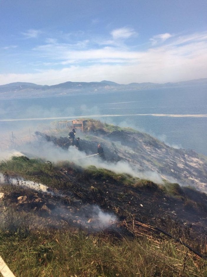 Bandırma'da makilik alan yandı