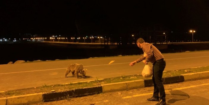 Yavru boz ayıları eliyle besledi -2