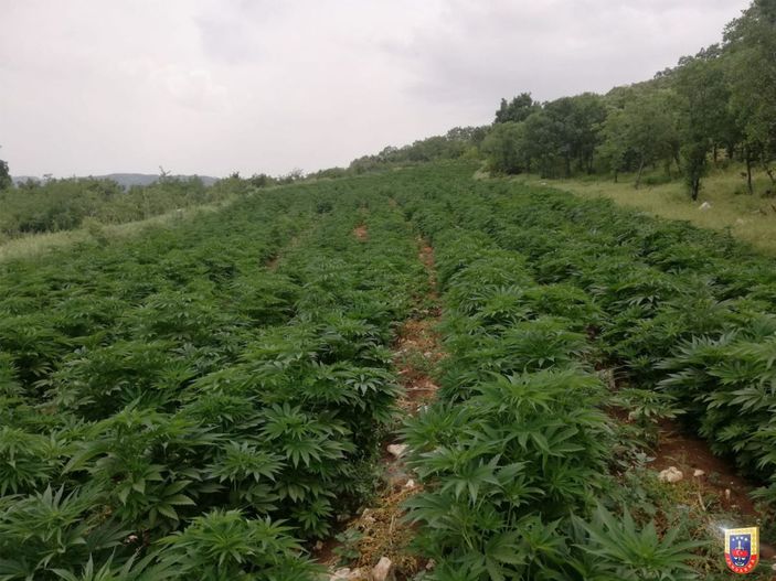 Diyarbakır'da, narko-terörizmle mücadele operasyonu -3