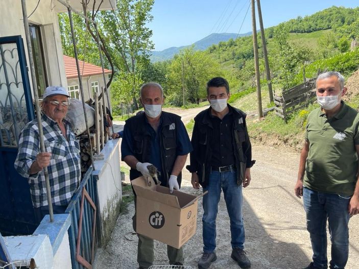 Tarlada yaralı bulunan yavru tavşan tedaviye alındı -2