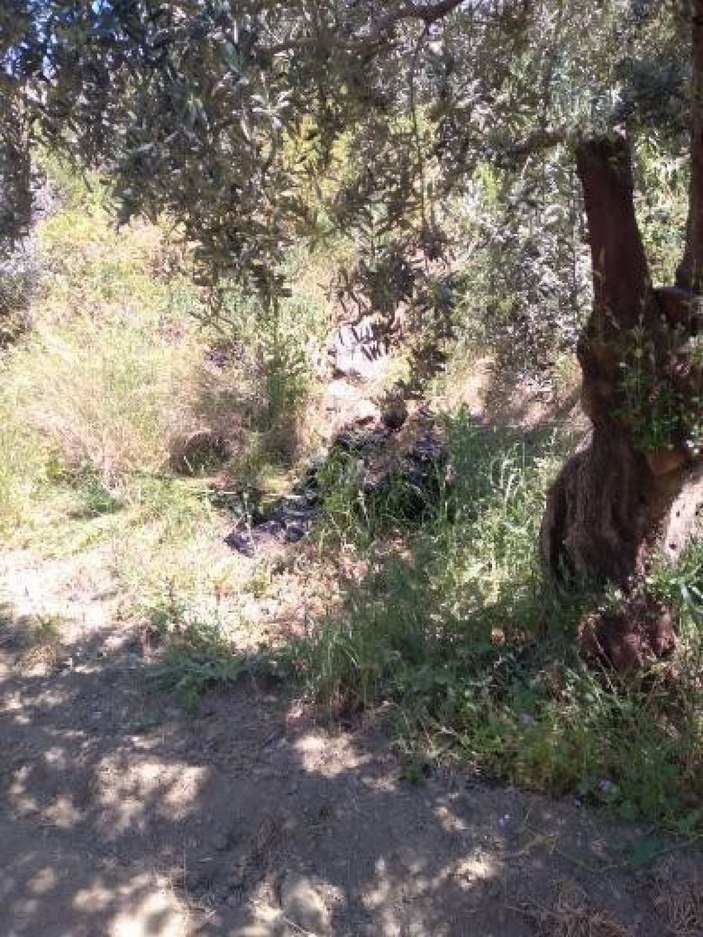 Aracıyla zeytinliğe uçan genç camdan fırlayarak ağır yaralandı -5