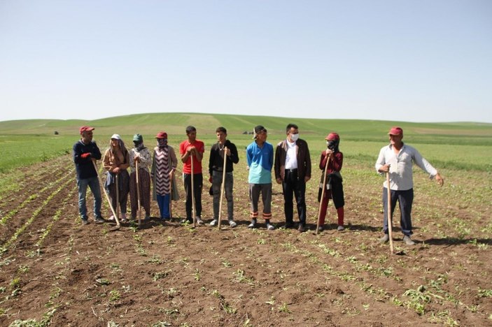 Kısıtlamadan muaf olan çiftçiler bayramı tarlada geçirdi -1