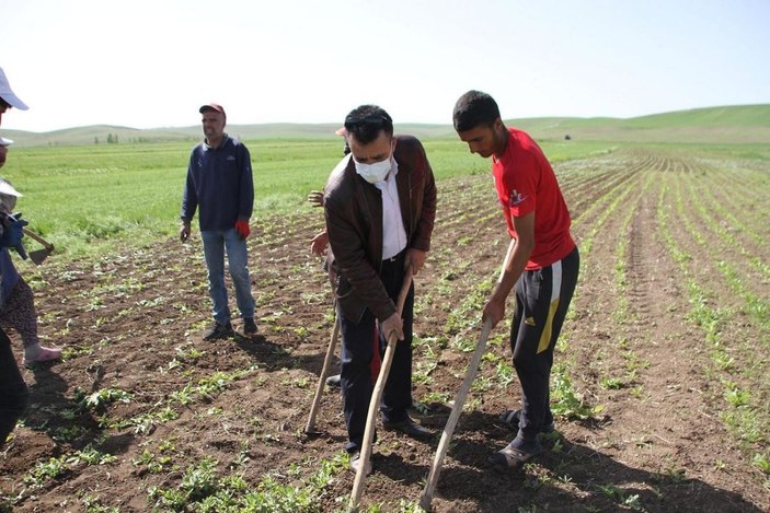 Kısıtlamadan muaf olan çiftçiler bayramı tarlada geçirdi -5