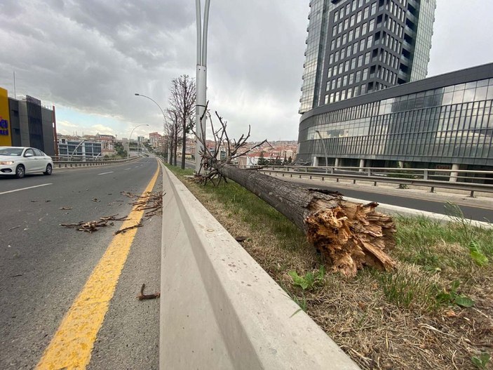 Ankara'da şiddetli rüzgar; ağaçlar devrildi, elektrik telleri koptu  -2