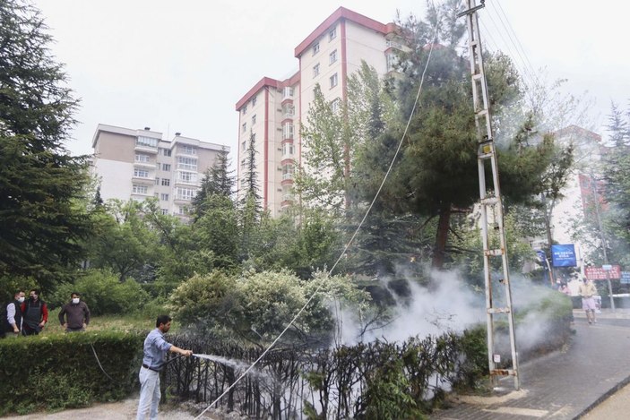 Ankara'da şiddetli rüzgar; ağaçlar devrildi, elektrik telleri koptu  -3