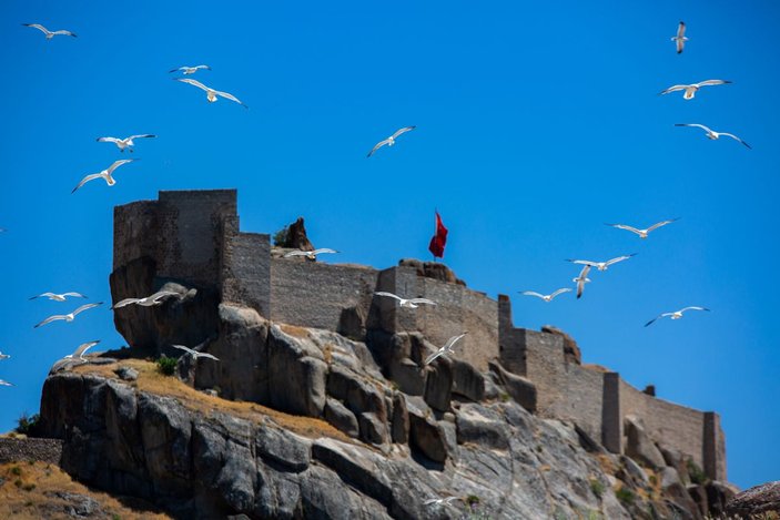 Tunceli'deki Martı Adası, binlerce kuşa ev sahipliği yapıyor -6