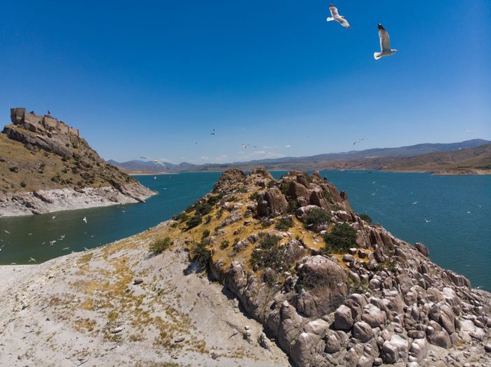 Tunceli'deki Martı Adası, binlerce kuşa ev sahipliği yapıyor -2