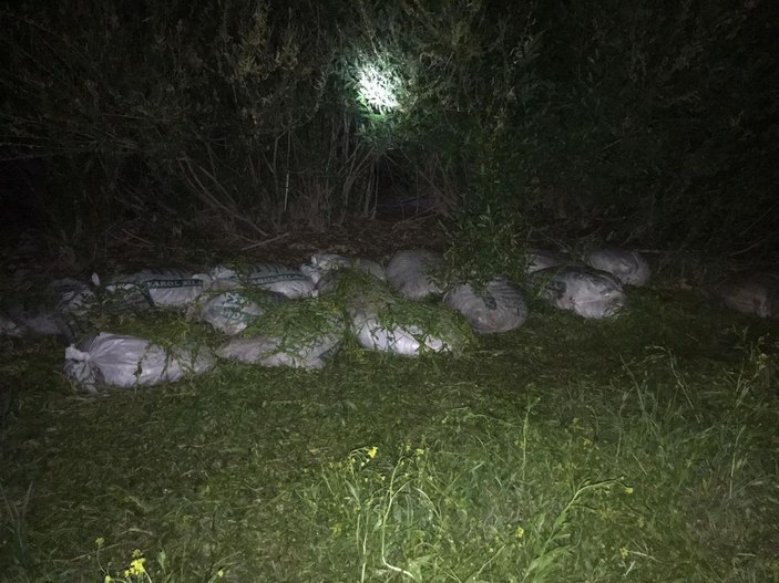 Van'da kaçak avlanan 1 ton 750 kilo inci kefali ele geçirildi -2