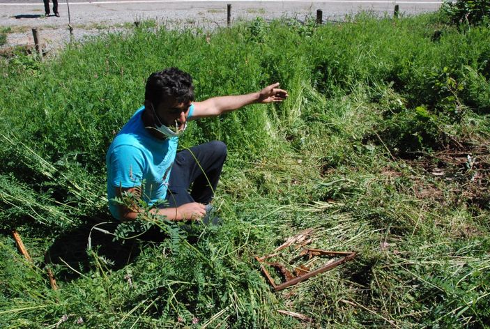 Ayı 15 kovanı parçaladı   -2