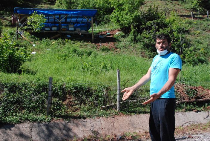 Ayı 15 kovanı parçaladı   -7