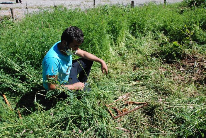 Ayı 15 kovanı parçaladı   -3