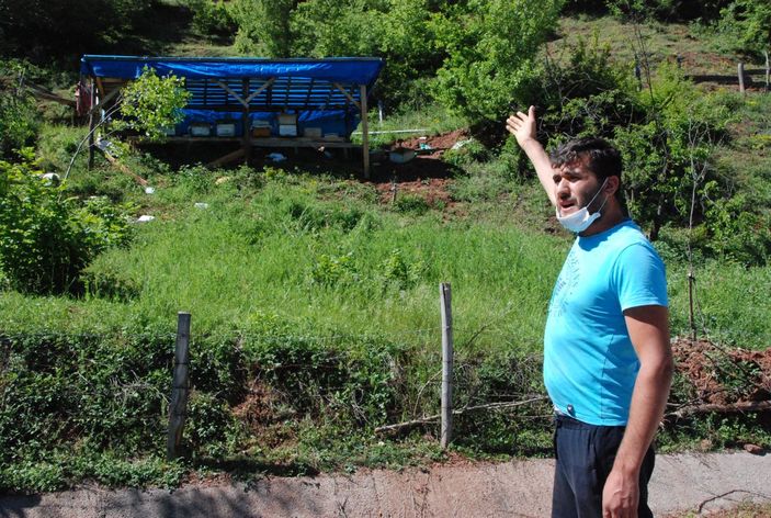 Ayı 15 kovanı parçaladı   -6