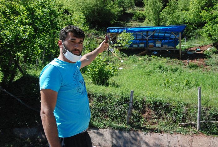 Ayı 15 kovanı parçaladı   -5