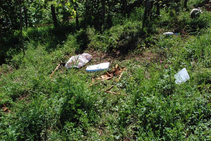 Ayı 15 kovanı parçaladı   -4