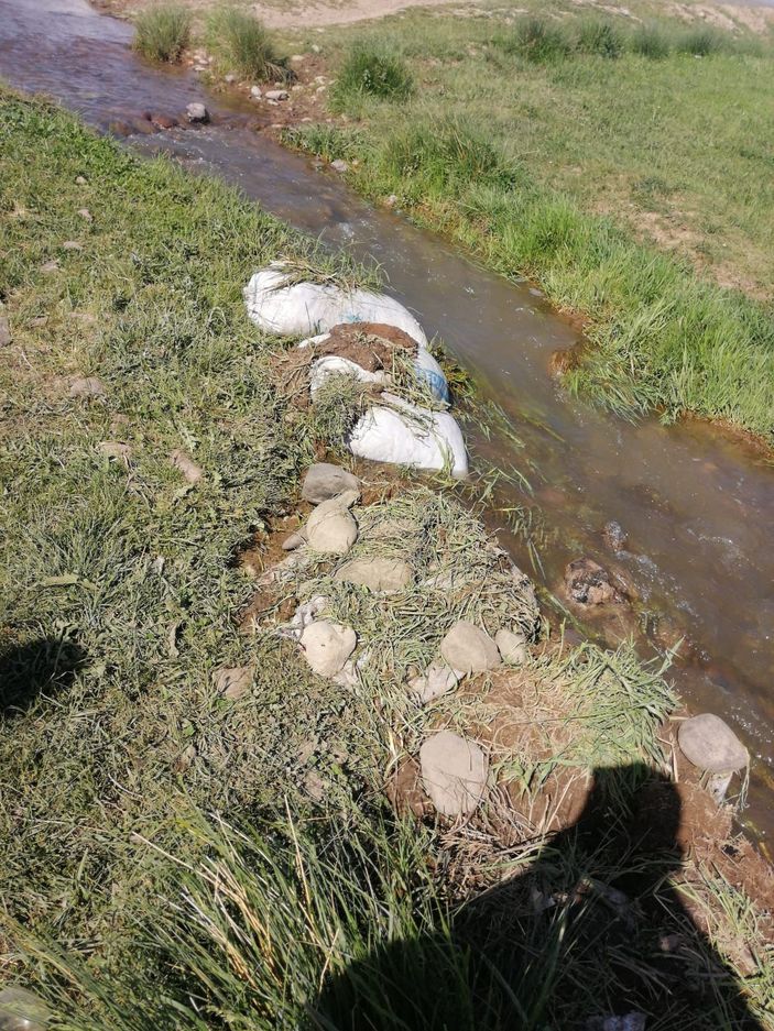 Van'da 3 ton 300 kilo inci kefali avına 69 bin lira ceza -3