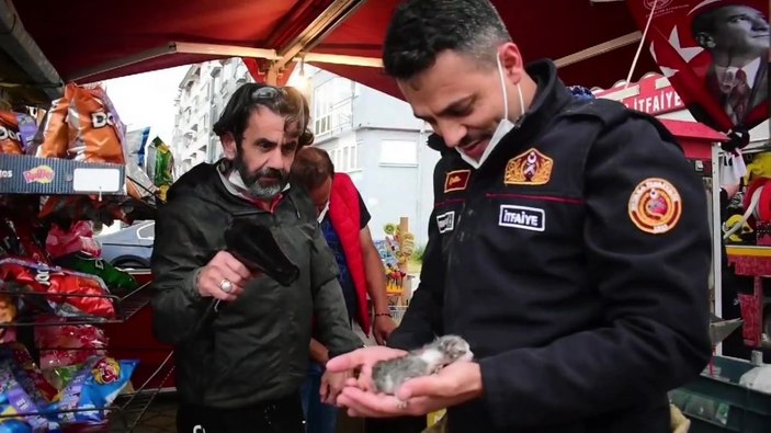 Kedi ihbarı alan ekipler, kayayı keserek yavru kediyi annesine teslim etti -7