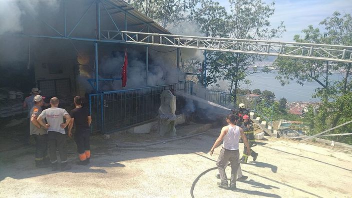 Besi çiftliğinden yangın; itfaiye eri yaralandı -1