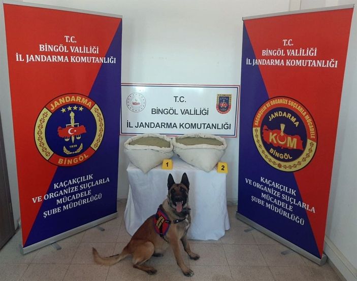 Bingöl'de 19 kilo esrar, 110 bin kök kenevir ele geçirildi -1