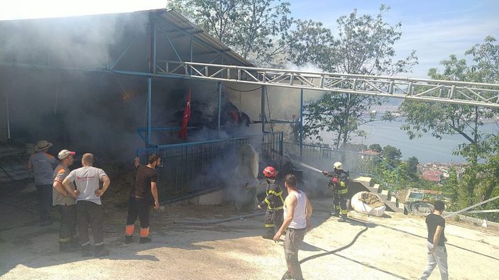 Besi çiftliğinden yangın; itfaiye eri yaralandı -2