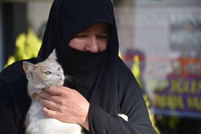 Sivas'ta aynı bölgede ikinci kez işkence yapılarak öldürülmüş kedi bulundu -8