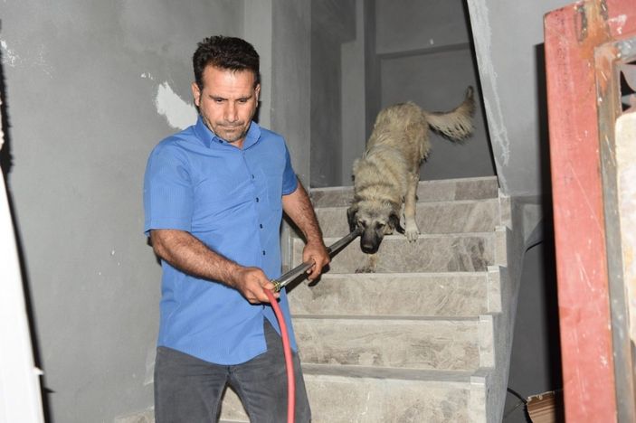 Siverek’te inşatta mahsur kalan köpek itfaiye ekiplerince kurtarıldı -6