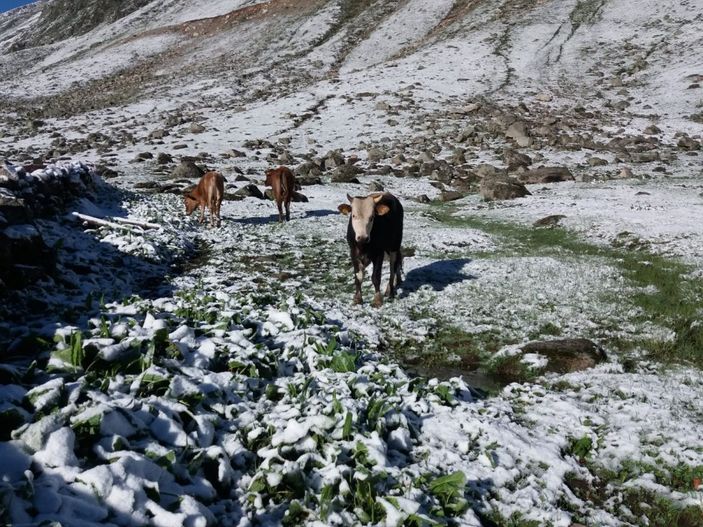 Rize’de yaylaya kar yağdı -1