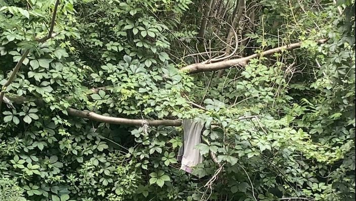 Beyoğlu’nda balkondan düşen genci ağaçlar kurtardı -5