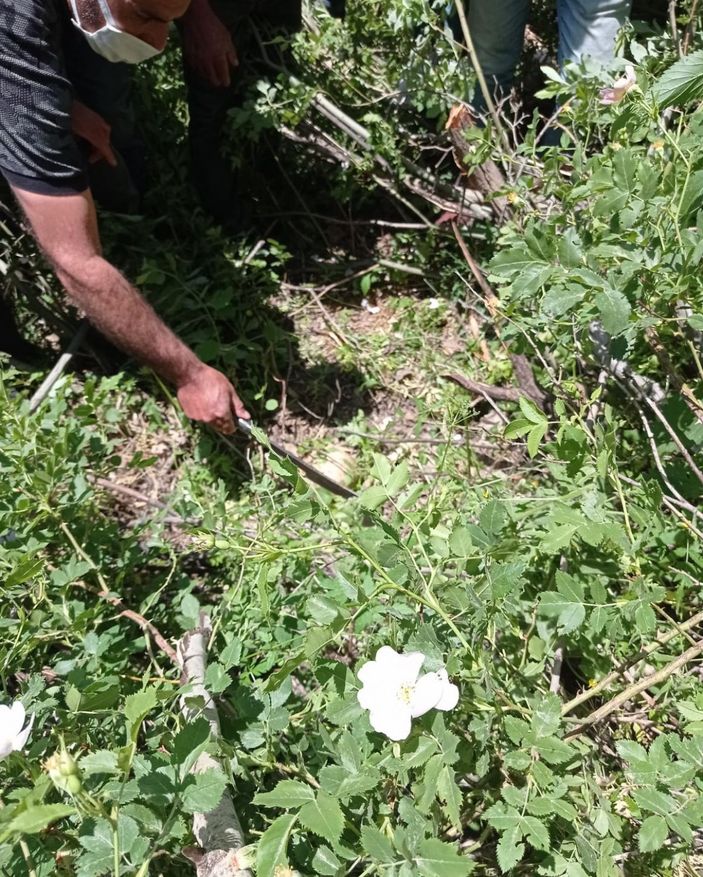 Bingöl'de ağaç dibinde insan ait kemikleri ve kıyafet bulundu -6