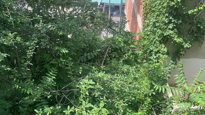 Beyoğlu’nda balkondan düşen genci ağaçlar kurtardı -3