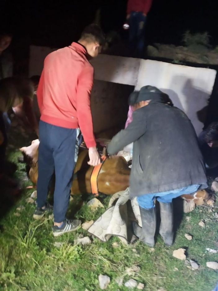 Menfeze sıkışan büyükbaş hayvan 2 saatlik operasyonla kurtarıldı -5