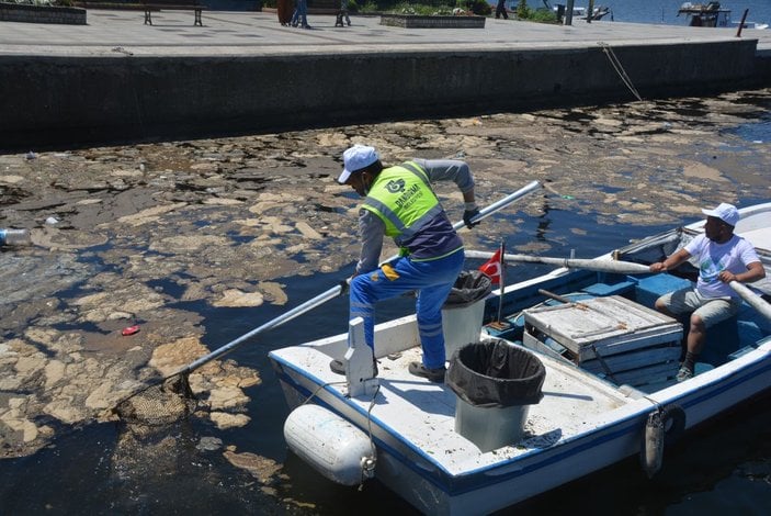 Bandırma'da 2 saatte deniz ve sahilden 1 ton çöp toplandı