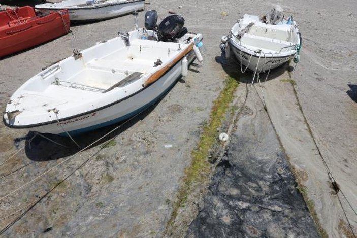 Çevre ve Şehircilik Bakanlığı ilk adımı attı; Deniz salyası temizliği başladı -7