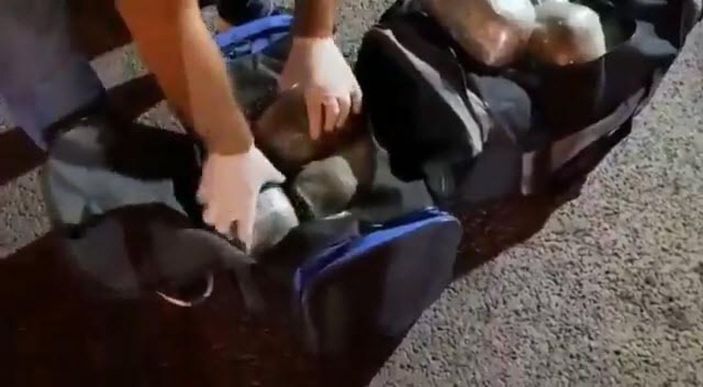 İzmir'de hafif ticari araçtaki 26 kilo uyuşturucuyu 'Mia' buldu -3