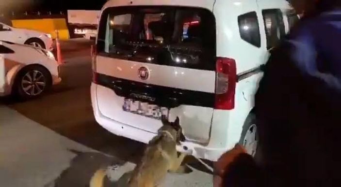 İzmir'de hafif ticari araçtaki 26 kilo uyuşturucuyu 'Mia' buldu -5