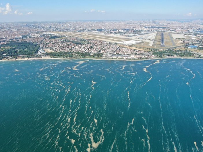 Deniz salyası bu kez Bakırköy kıyılarını sardı -4