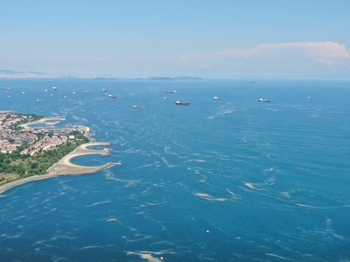 Deniz salyası bu kez Bakırköy kıyılarını sardı -2