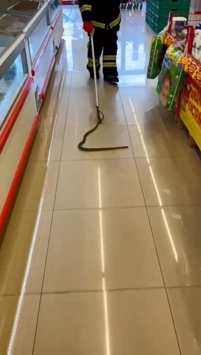 Alışveriş için gittikleri markette rafların arasından yılan çıktı -5
