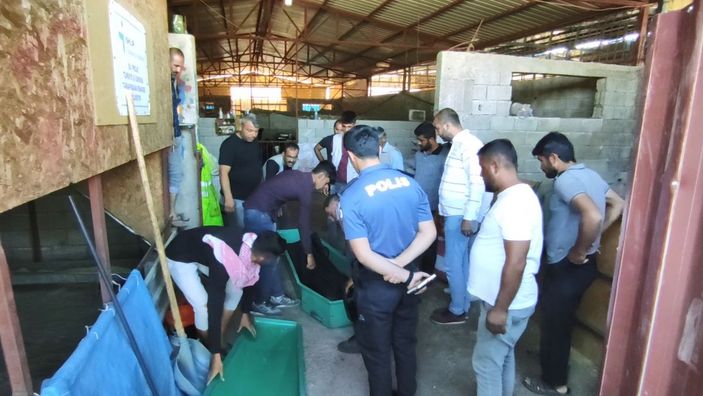 Suriyeli Adnan'ın başından vurulmuş cansız bedeni bulundu -5