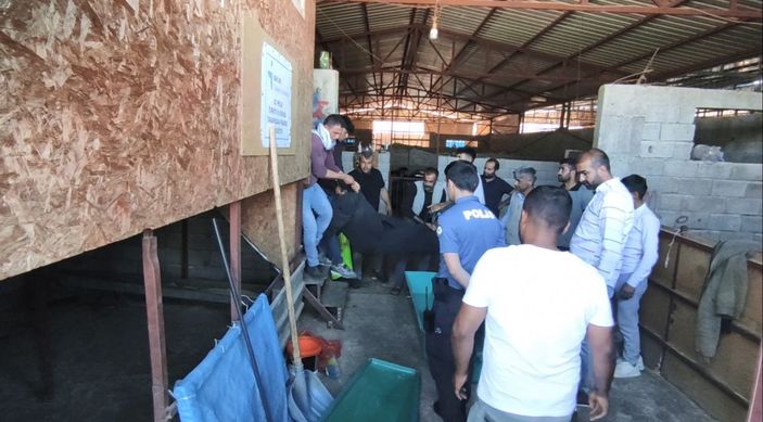 Suriyeli Adnan'ın başından vurulmuş cansız bedeni bulundu -4