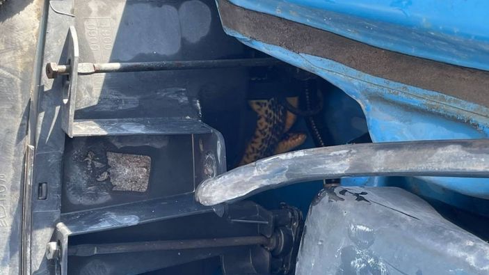 Aracın motoruna giren yılan korkuttu -4