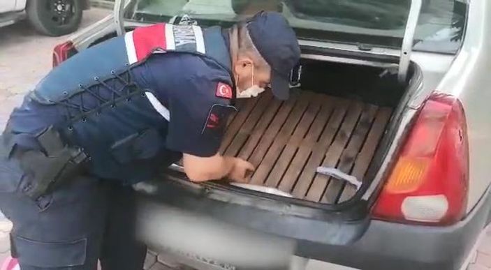 Otomobilde 486 parça tarihi eser ele geçti -8