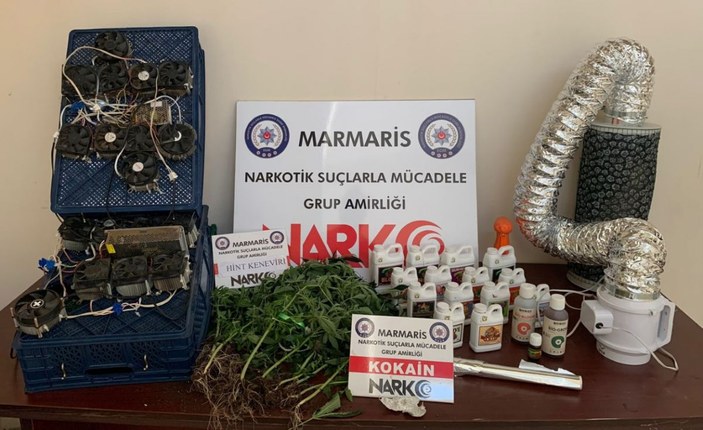 Marmaris'te evinde yetiştirdiği uyuşturucuyu turistlere satan resepsiyonist yakalandı -1